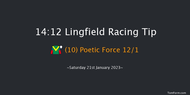 Lingfield 14:12 Handicap (Class 4) 7f Sat 14th Jan 2023