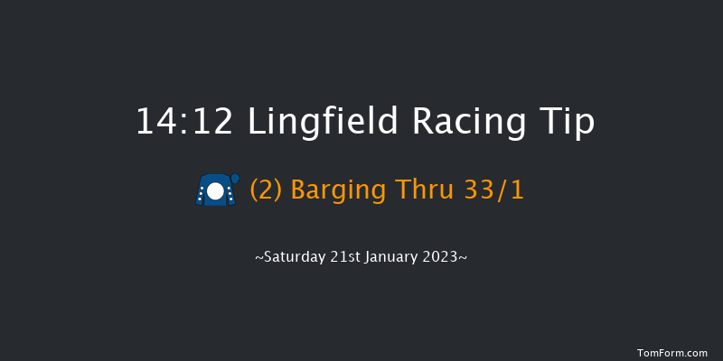 Lingfield 14:12 Handicap (Class 4) 7f Sat 14th Jan 2023