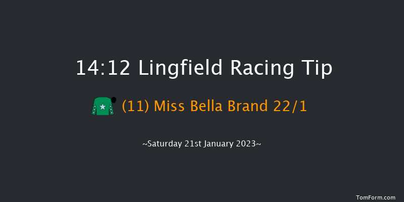 Lingfield 14:12 Handicap (Class 4) 7f Sat 14th Jan 2023