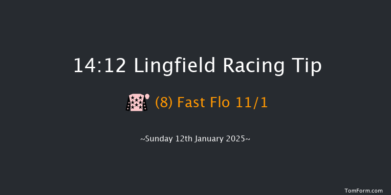 Lingfield  14:12 Stakes (Class 6) 6f Fri 10th Jan 2025