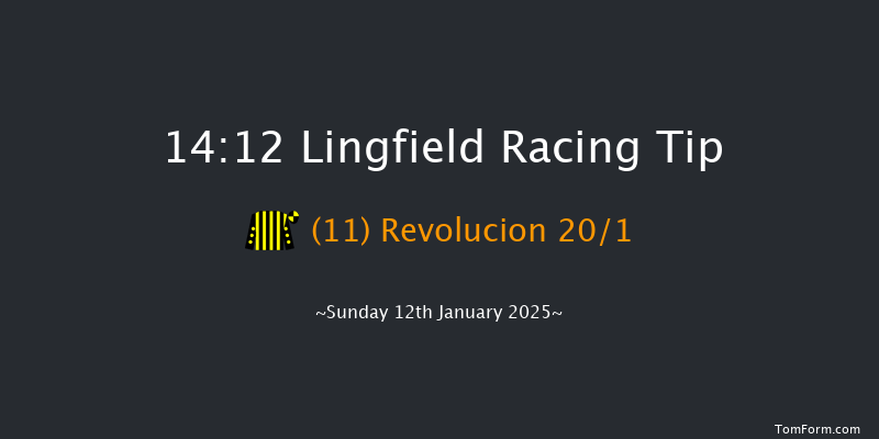 Lingfield  14:12 Stakes (Class 6) 6f Fri 10th Jan 2025