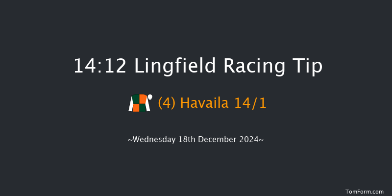 Lingfield  14:12 Handicap Chase (Class 4) 24f Wed 4th Dec 2024