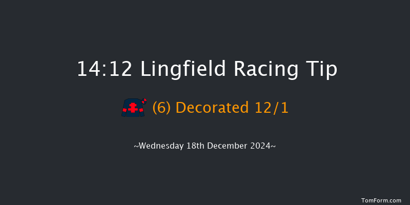 Lingfield  14:12 Handicap Chase (Class 4) 24f Wed 4th Dec 2024