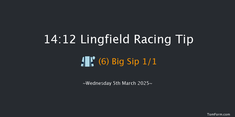 Lingfield  14:12 Maiden (Class 5) 8f Fri 28th Feb 2025
