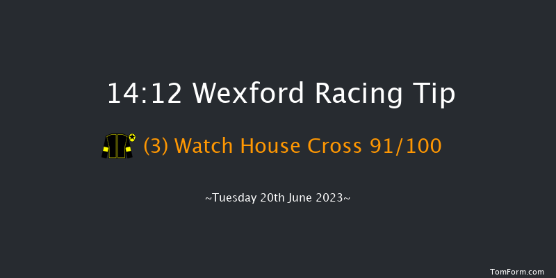 Wexford 14:12 Maiden Chase 20f Wed 31st May 2023