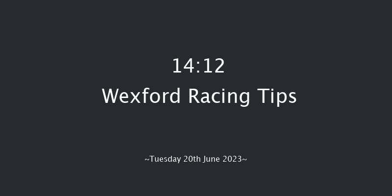 Wexford 14:12 Maiden Chase 20f Wed 31st May 2023