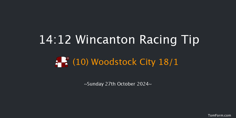 Wincanton  14:12 Maiden Hurdle (Class 4) 15f Thu 17th Oct 2024
