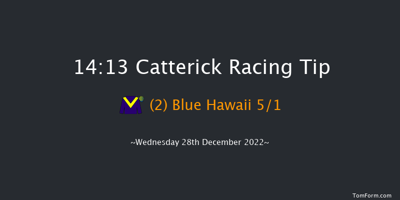 Catterick 14:13 Handicap Chase (Class 5) 16f Mon 28th Nov 2022