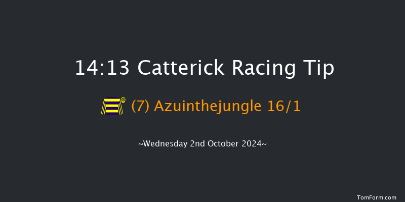 Catterick  14:13 Handicap (Class 5) 5f Tue 10th Sep 2024