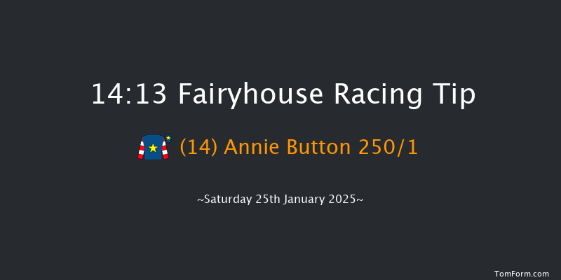 Fairyhouse  14:13 Maiden Hurdle 16f Thu 16th Jan 2025