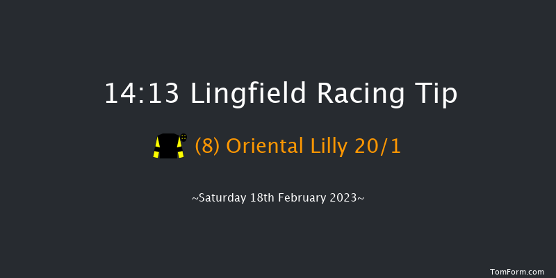 Lingfield 14:13 Stakes (Class 6) 7f Fri 17th Feb 2023
