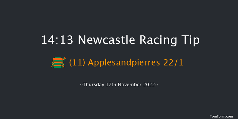 Newcastle 14:13 Handicap Hurdle (Class 4) 16f Tue 15th Nov 2022