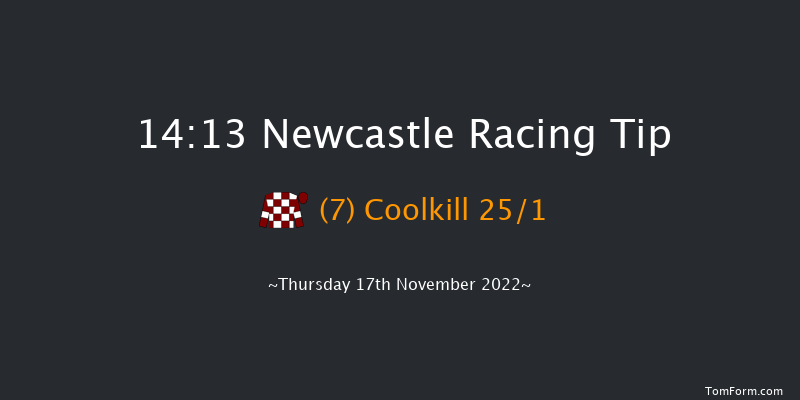 Newcastle 14:13 Handicap Hurdle (Class 4) 16f Tue 15th Nov 2022