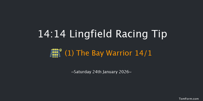 Lingfield 14-14 (Class 6) 12f Wed 21st Jan 2026