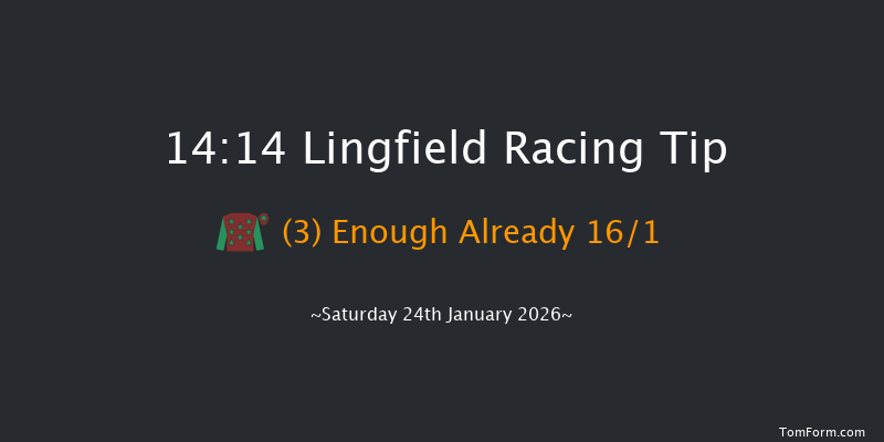 Lingfield 14-14 (Class 6) 12f Wed 21st Jan 2026