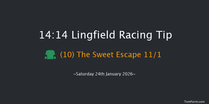 Lingfield 14-14 (Class 6) 12f Wed 21st Jan 2026