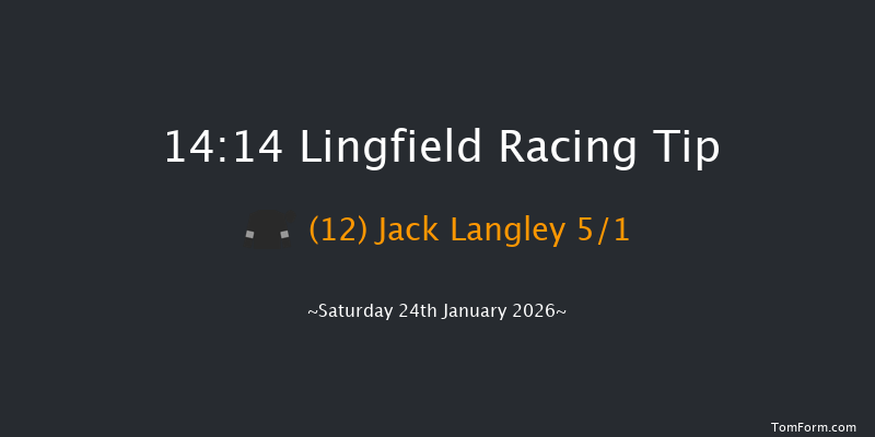 Lingfield 14-14 (Class 6) 12f Wed 21st Jan 2026