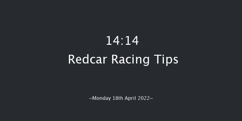 Redcar 14:14 Stakes (Class 5) 8f Mon 4th Apr 2022