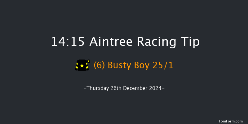 Aintree  14:15 Handicap Chase (Class 3) 25f Sat 9th Nov 2024