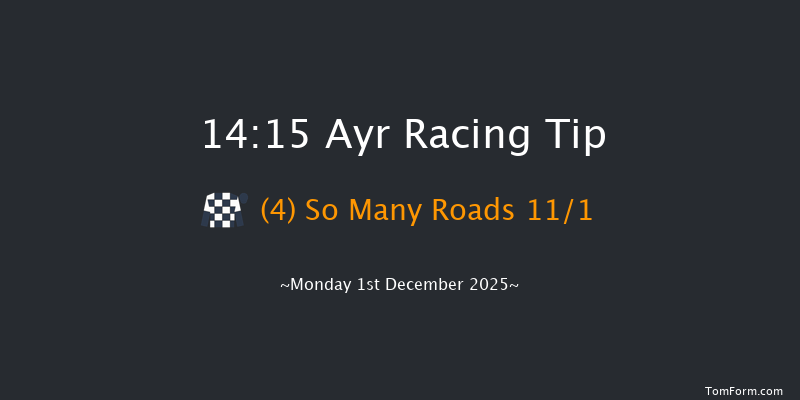 Ayr 14-15 (Class 5) 19f Wed 12th Nov 2025