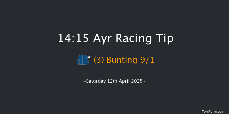 Ayr 14-15 (Class 1) 16f Fri 11th Apr 2025