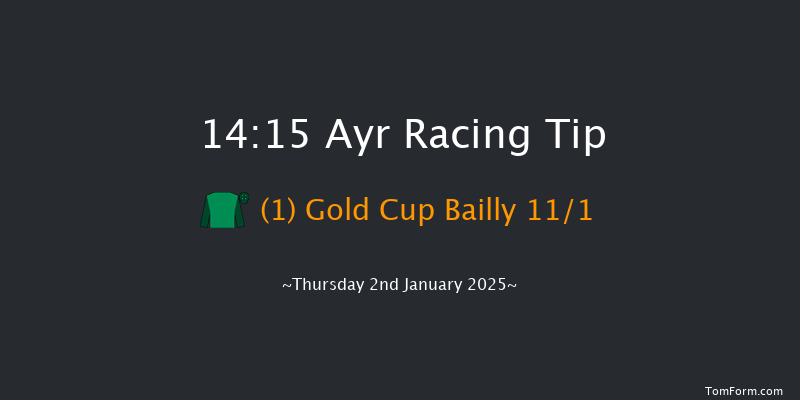Ayr  14:15 Handicap Chase (Class 3) 24f Wed 13th Nov 2024