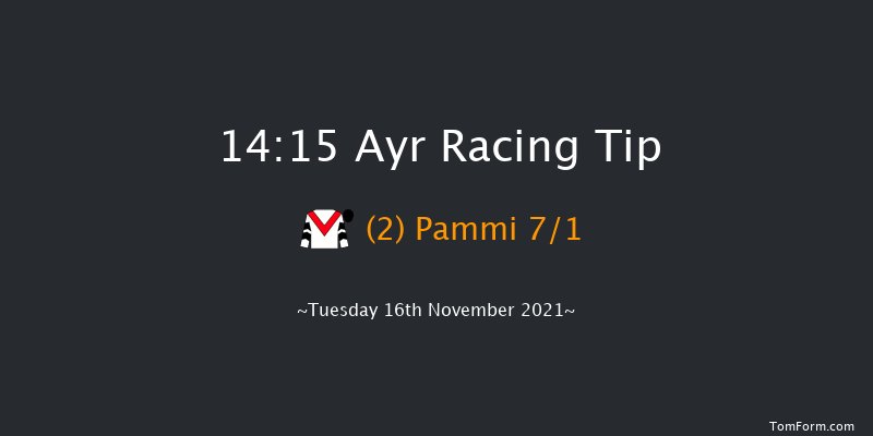 Ayr 14:15 Handicap Hurdle (Class 4) 20f Tue 11th May 2021