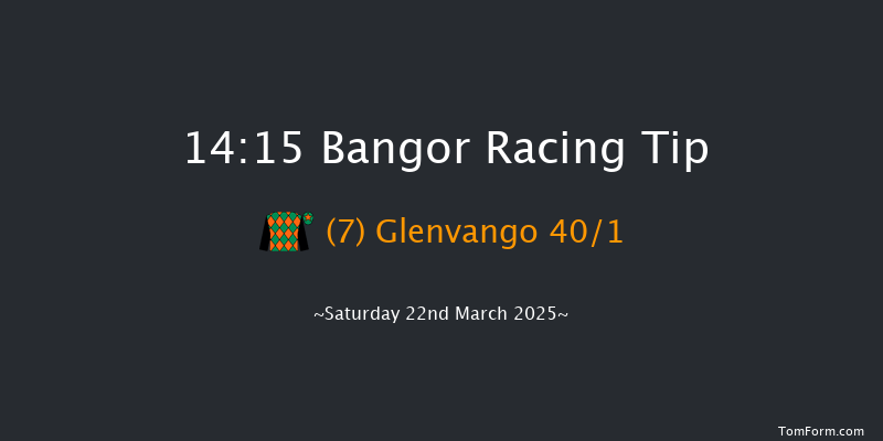 Bangor-on-dee  14:15 Handicap Hurdle (Class 5) 20f Wed 26th Feb 2025