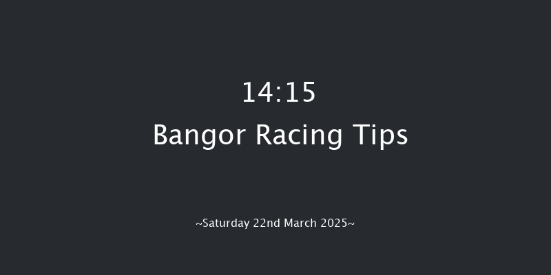 Bangor-on-dee  14:15 Handicap Hurdle (Class 5) 20f Wed 26th Feb 2025