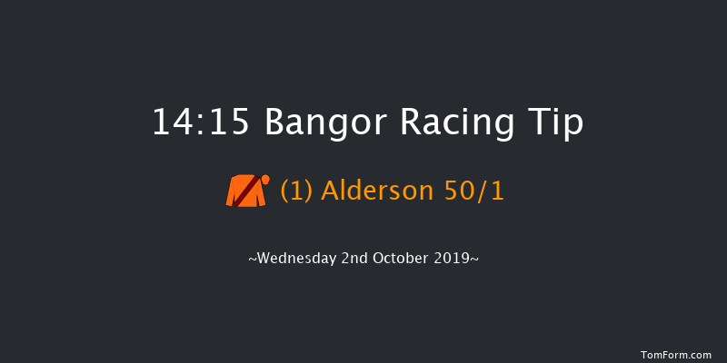 Bangor 14:15 Maiden Hurdle (Class 4) 17f Fri 30th Aug 2019