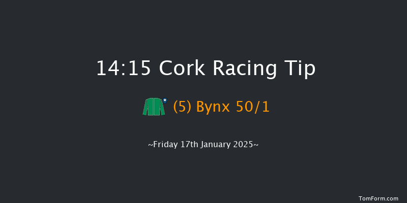 Cork  14:15 Handicap Hurdle 20f Sat 4th Jan 2025