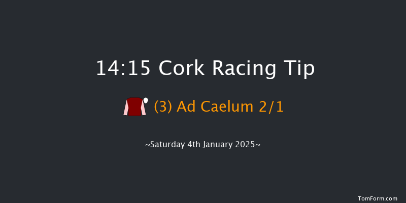 Cork  14:15 Handicap Hurdle 20f Fri 13th Dec 2024