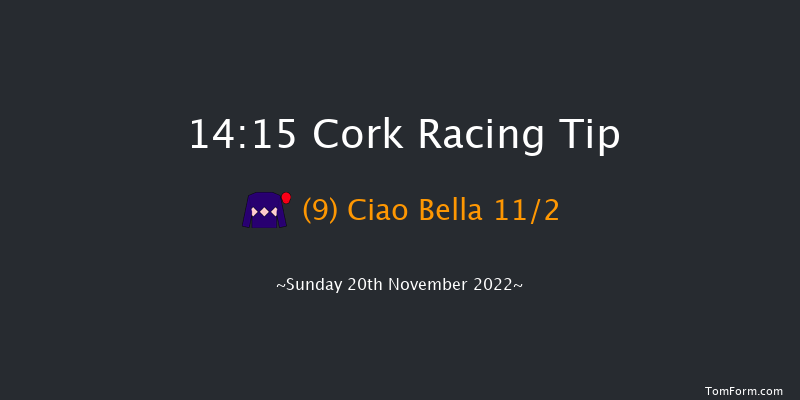 Cork 14:15 Maiden Chase 21f Sun 6th Nov 2022