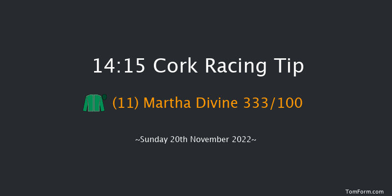 Cork 14:15 Maiden Chase 21f Sun 6th Nov 2022