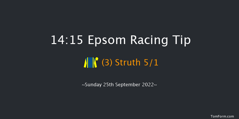Epsom 14:15 Stakes (Class 2) 8f Thu 8th Sep 2022