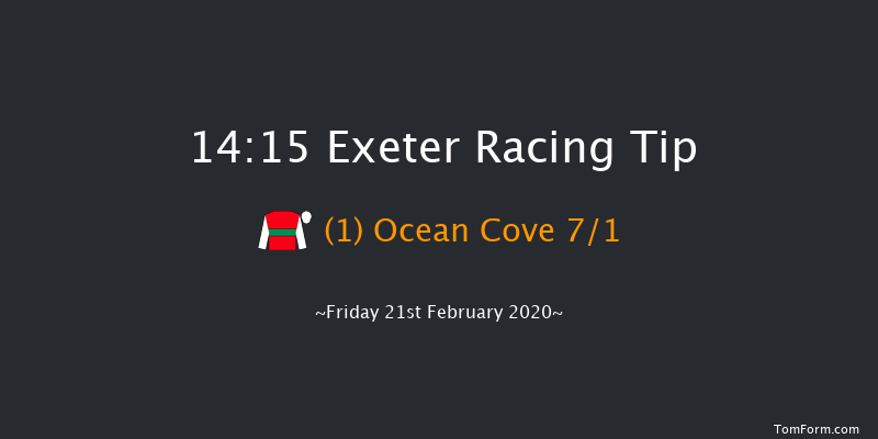 Be Wiser Insurance Chase (Novices' Limited Handicap) Exeter 14:15 Handicap Chase (Class 3) 24f Tue 21st Jan 2020