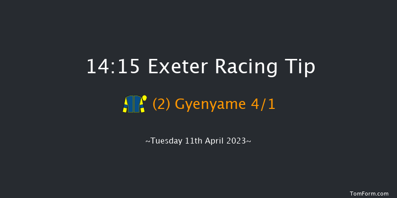 Exeter 14:15 Handicap Hurdle (Class 4) 17f Sun 26th Mar 2023