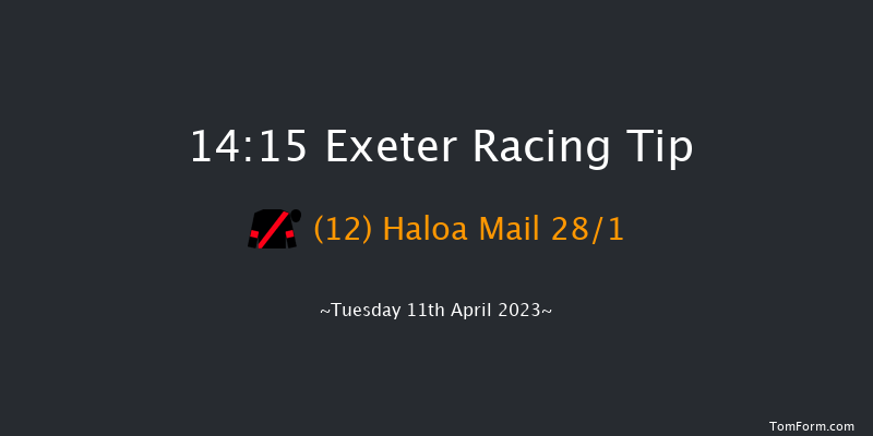 Exeter 14:15 Handicap Hurdle (Class 4) 17f Sun 26th Mar 2023