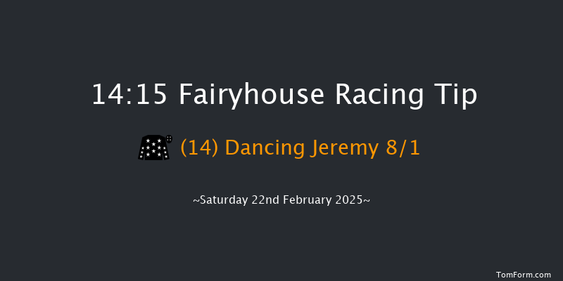 Fairyhouse  14:15 Handicap Hurdle 20f Wed 5th Feb 2025