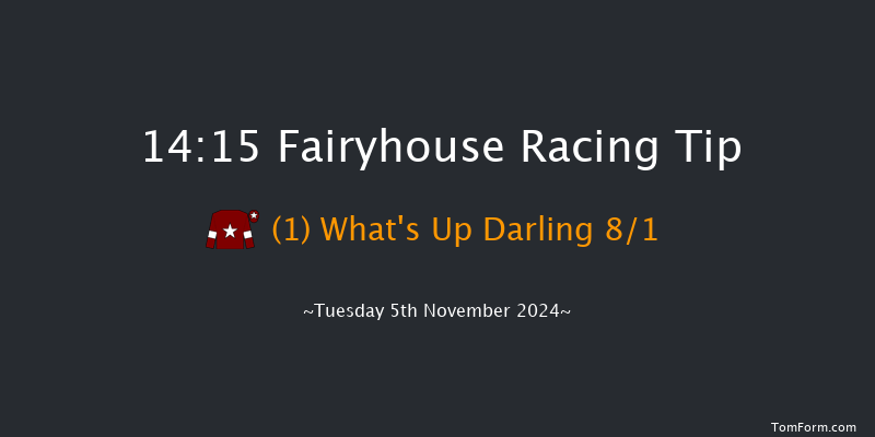 Fairyhouse  14:15 Conditions Hurdle 20f Sat 12th Oct 2024