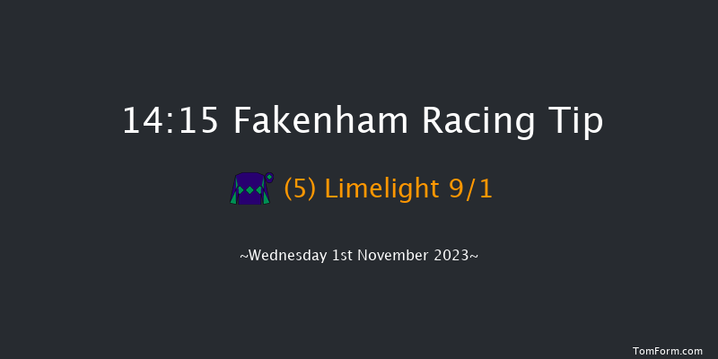 Fakenham 14:15 Conditions Hurdle (Class 4) 16f Fri 20th Oct 2023