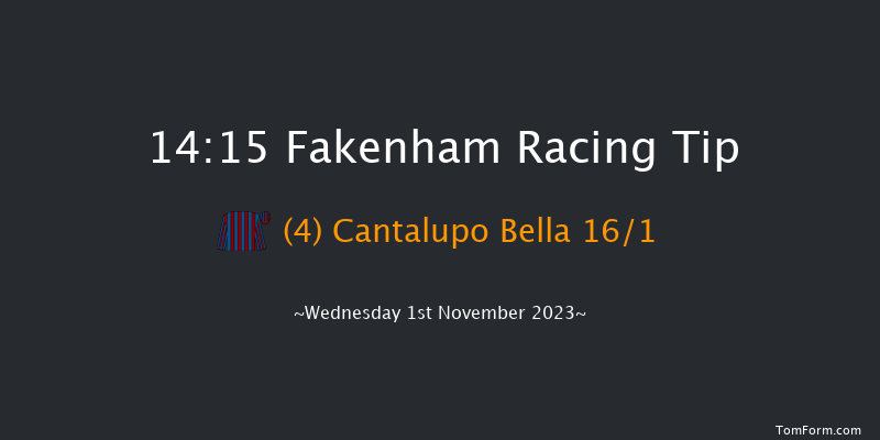 Fakenham 14:15 Conditions Hurdle (Class 4) 16f Fri 20th Oct 2023