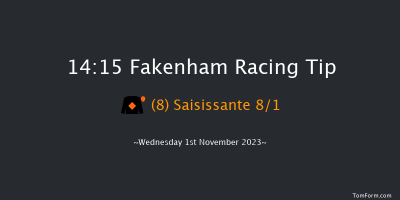 Fakenham 14:15 Conditions Hurdle (Class 4) 16f Fri 20th Oct 2023