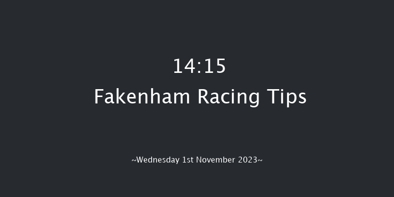 Fakenham 14:15 Conditions Hurdle (Class 4) 16f Fri 20th Oct 2023