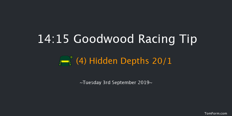 Goodwood 14:15 Handicap (Class 5) 11f Sun 25th Aug 2019