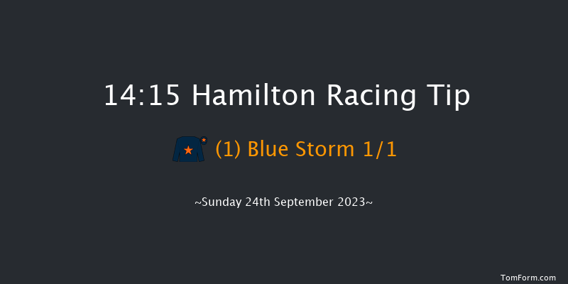 Hamilton 14:15 Stakes (Class 5) 5f Tue 5th Sep 2023