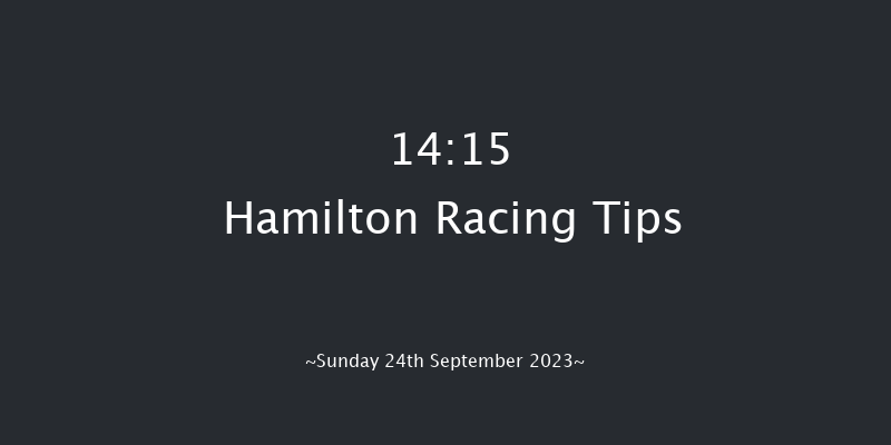 Hamilton 14:15 Stakes (Class 5) 5f Tue 5th Sep 2023