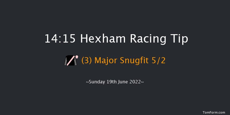Hexham 14:15 Handicap Hurdle (Class 5) 16f Sat 11th Jun 2022