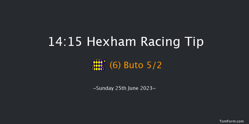 Hexham 14:15 Handicap Hurdle (Class 5) 23f Sat 17th Jun 2023