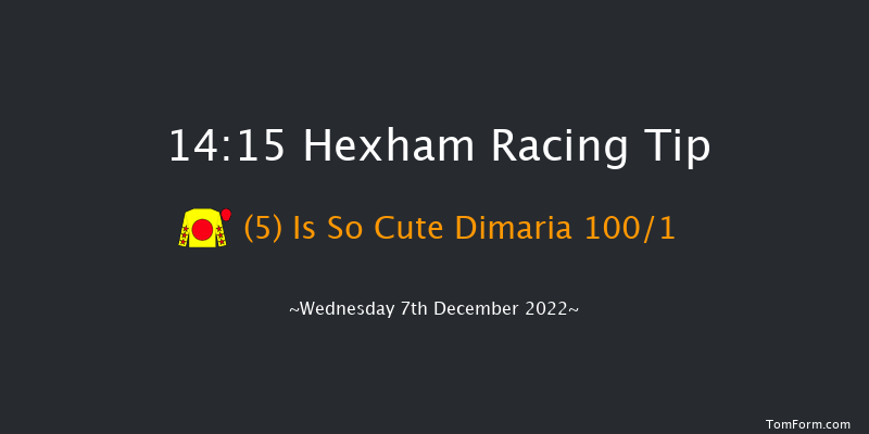 Hexham 14:15 Maiden Hurdle (Class 4) 20f Wed 16th Nov 2022